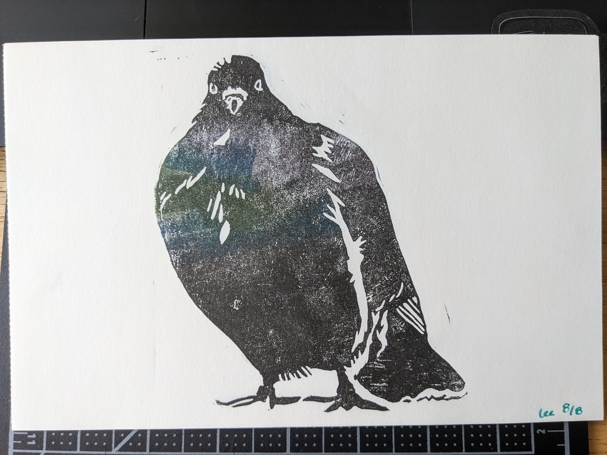 A block print of a superb speciman of pigeon, inked mostly in black but with patches of green, blue, and purple to indicate iridescence.