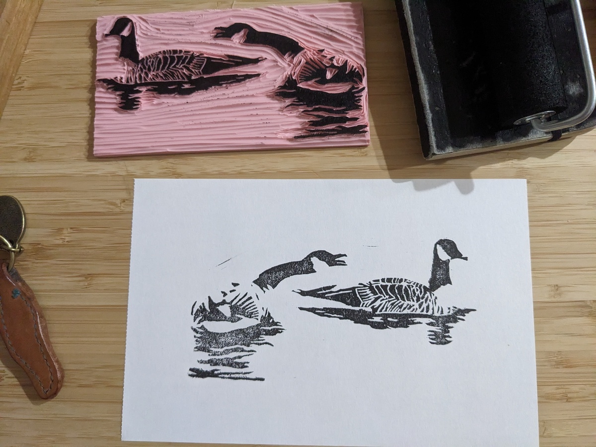 Two Canada geese and their reflections in the water. One is calmly swimming away, while the over leans over and HONKS!