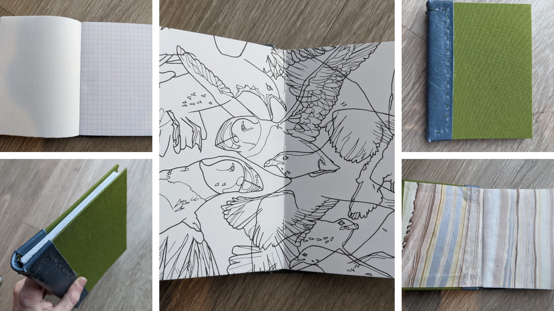 A five panel collage showcasing a book that is part graph papers of various sizes, and part coloring pages based on Acadia National Park.