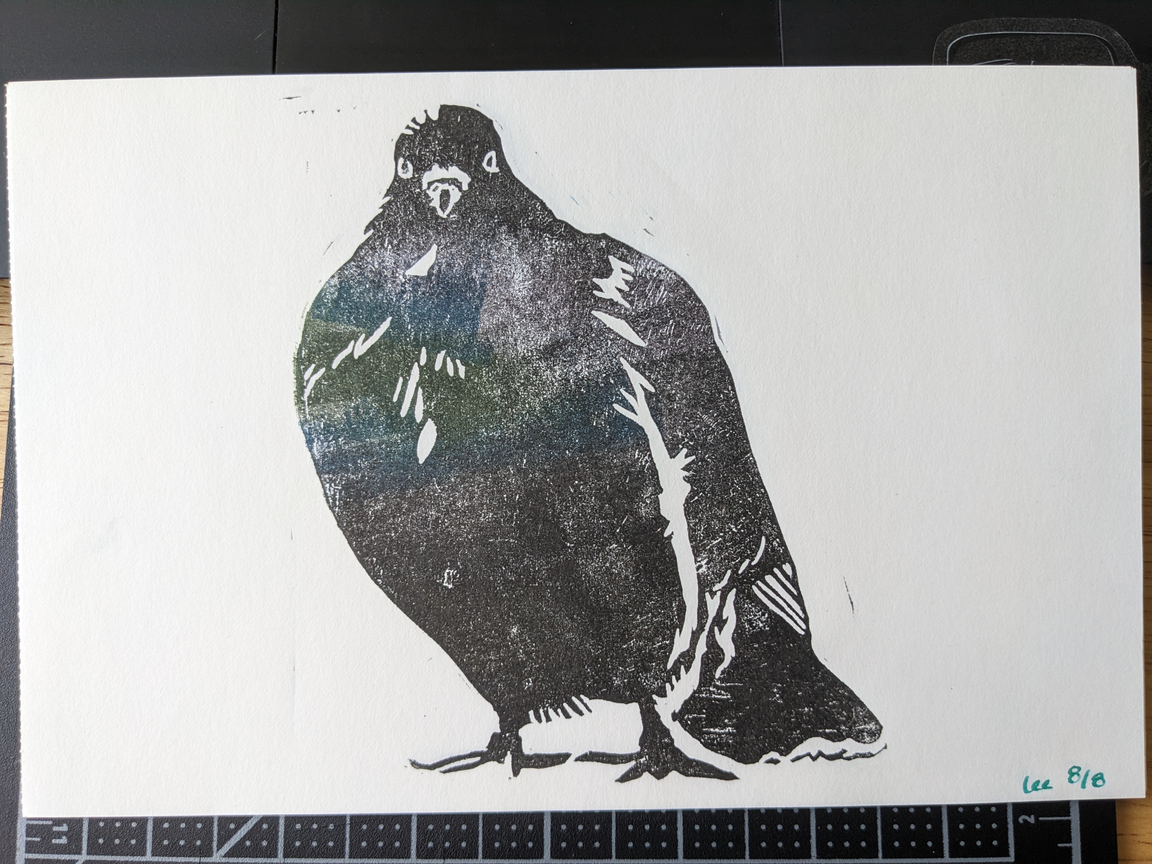 A block print of a superb speciman of pigeon, inked mostly in black but with patches of green, blue, and purple to indicate iridescence.