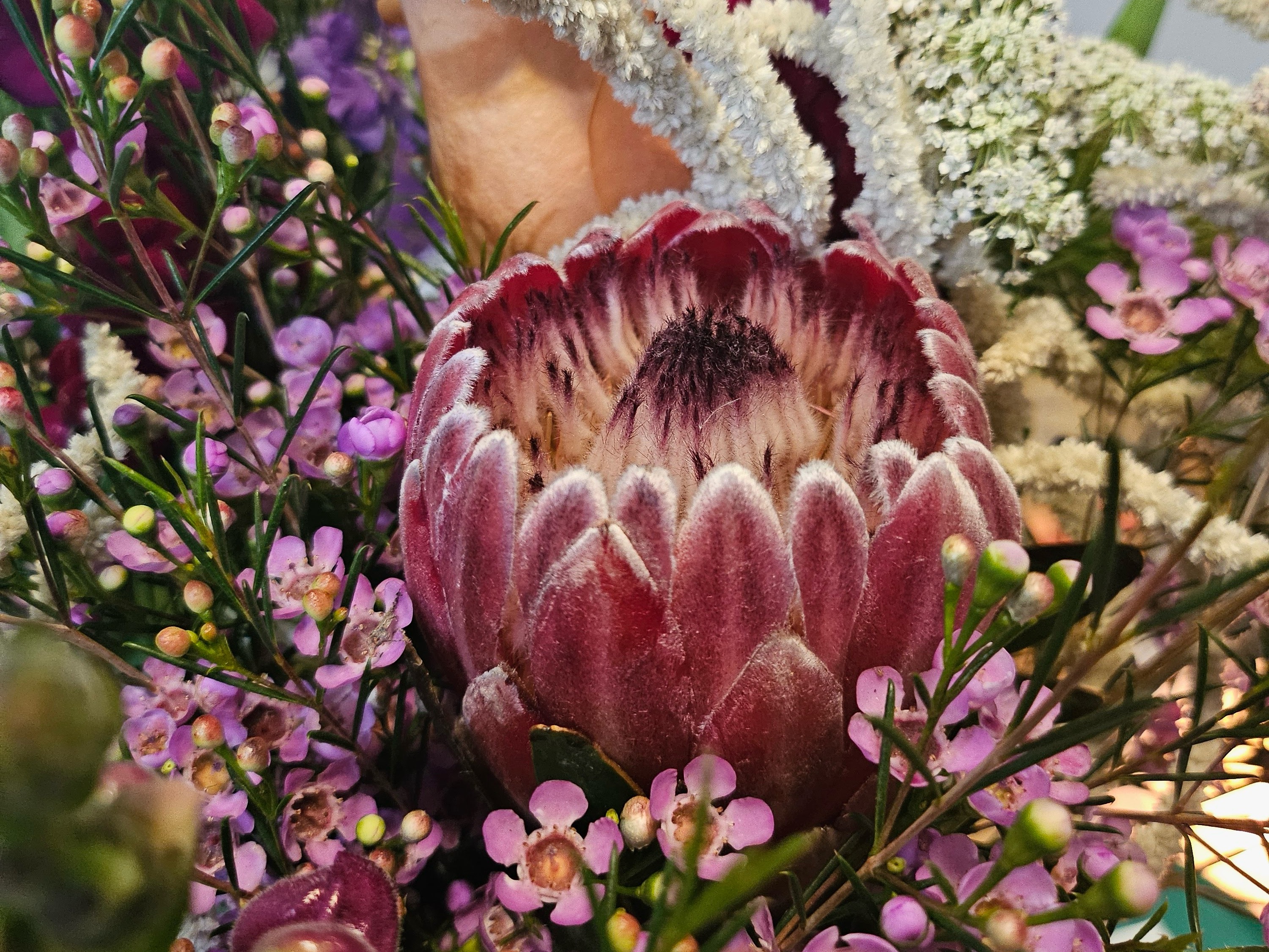 Image unrelated to post. A close up on a flower bouquet in shades of purple, pink, and white. Centered is a large, almost soft-looking pink flower that is still partially closed up.