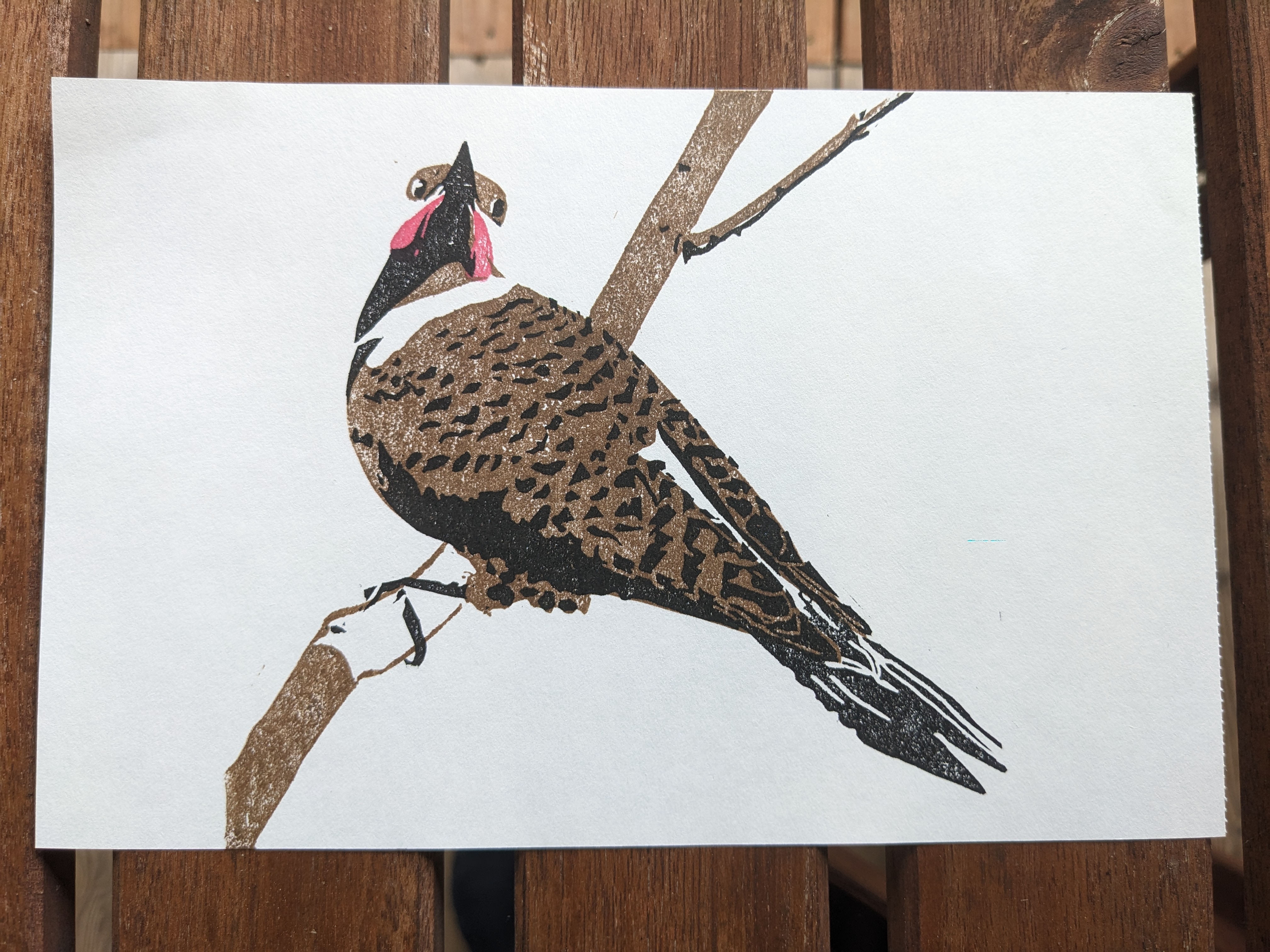 A print in black, brown, and red ink of a northern flicker (a type of woodpecker). Viewed from the back, he is looking over his shoulder and upward towards something unseen above him (my bird feeder).