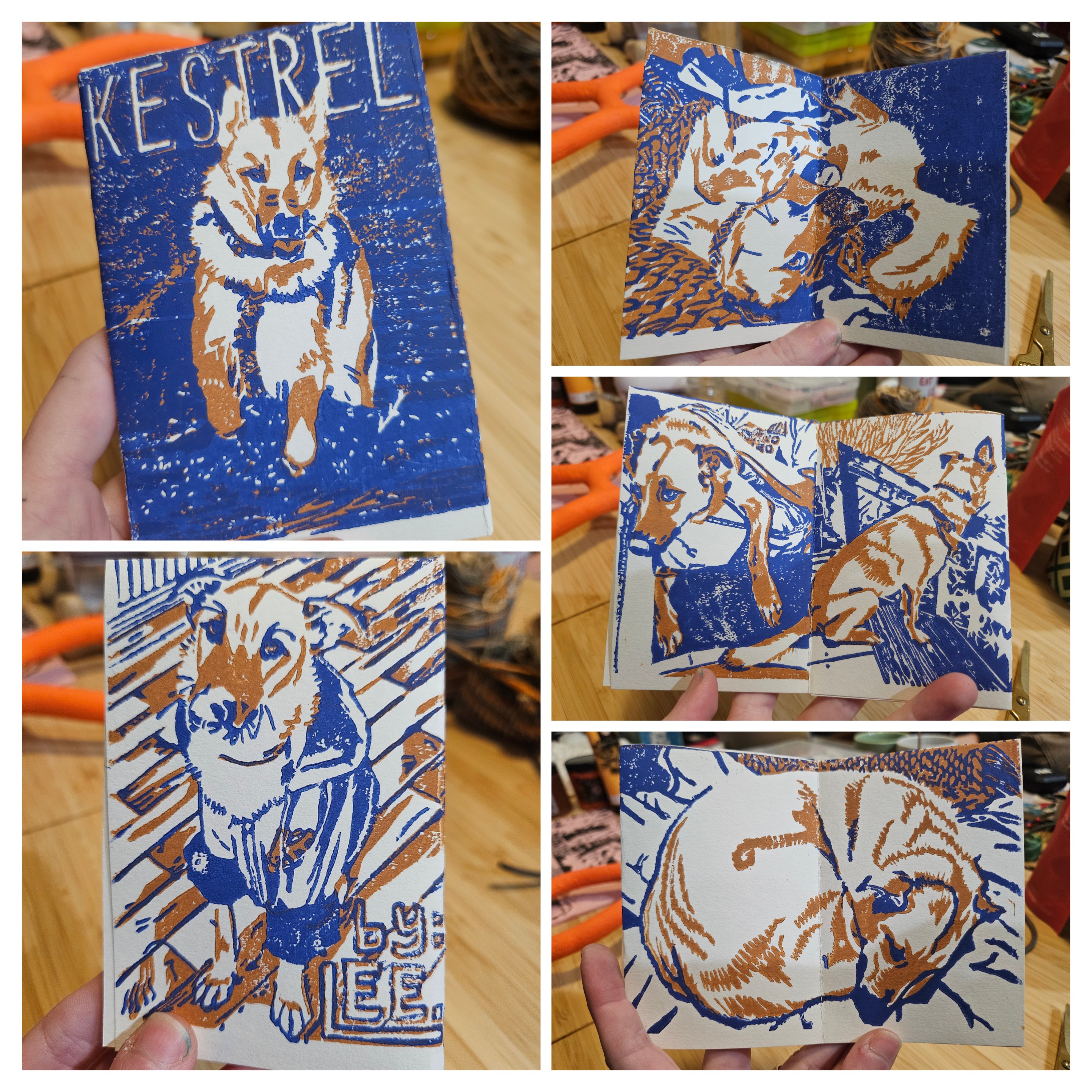 A 5 photo collage showing the front and back cover as well as 3 full spreads of a folded zine about Kestrel, my dog, who is a 65lb Malinois with a goofy smile and floppy ears. it is printed in two layers of color, blue and orange, and each image depicts Kestrel in various posts... alert and watchful, resting, looking mopey, wearing a sweatshirt.