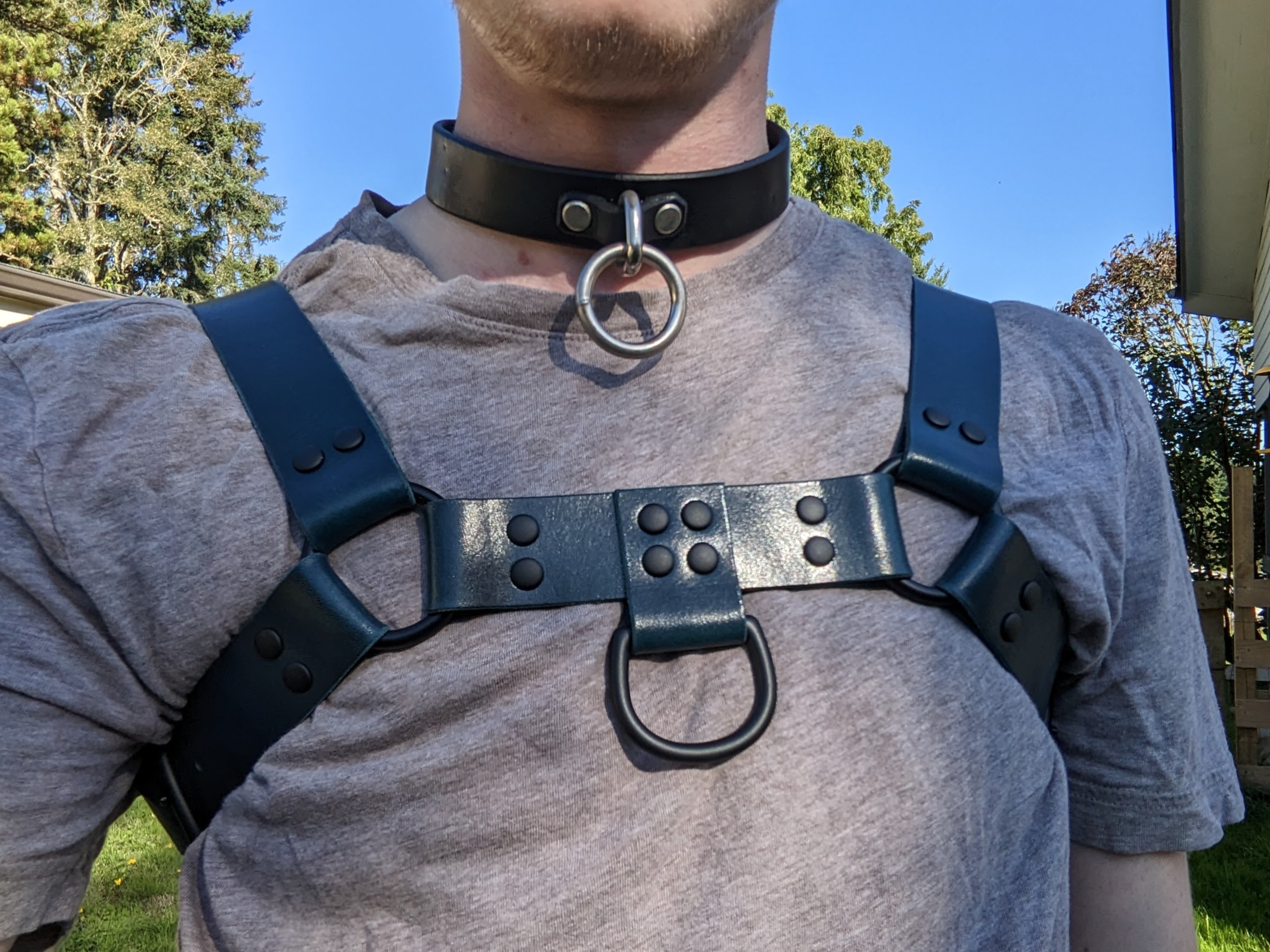 Someone from chin to mid-torso, wearing a dark teal leather chest harness with matte black fittings over a t shirt.