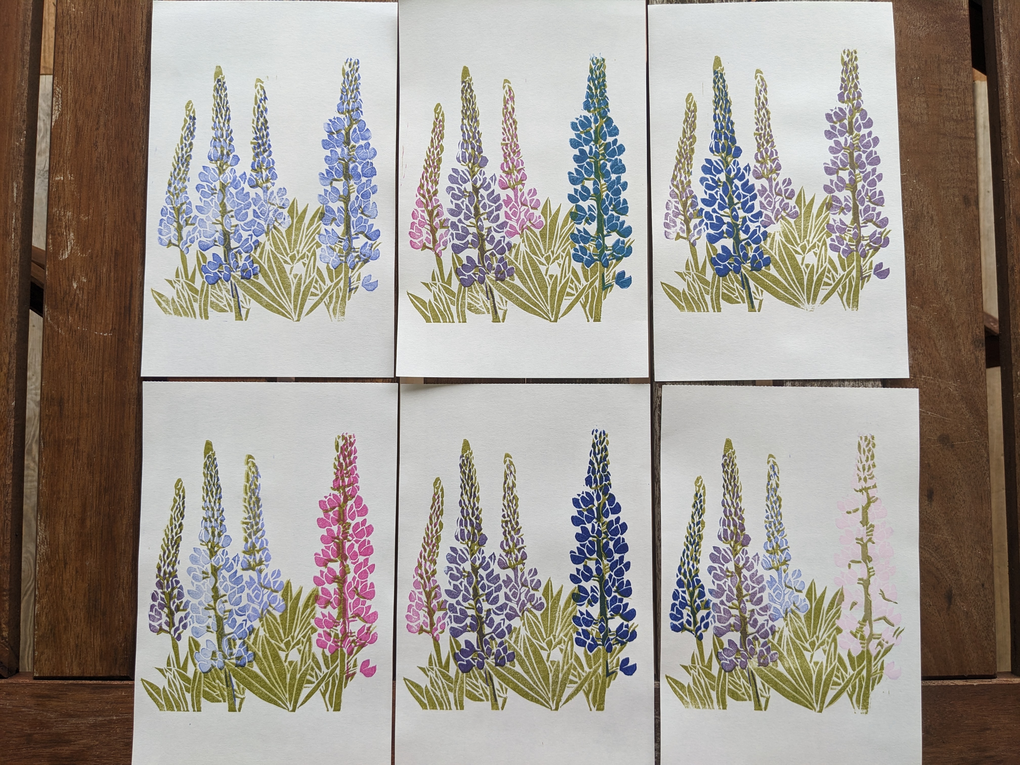 6 versions of a print of lupine flowers with the leaves inked in light green and the blossoms inked in a variety of blues, purples, and pinks.