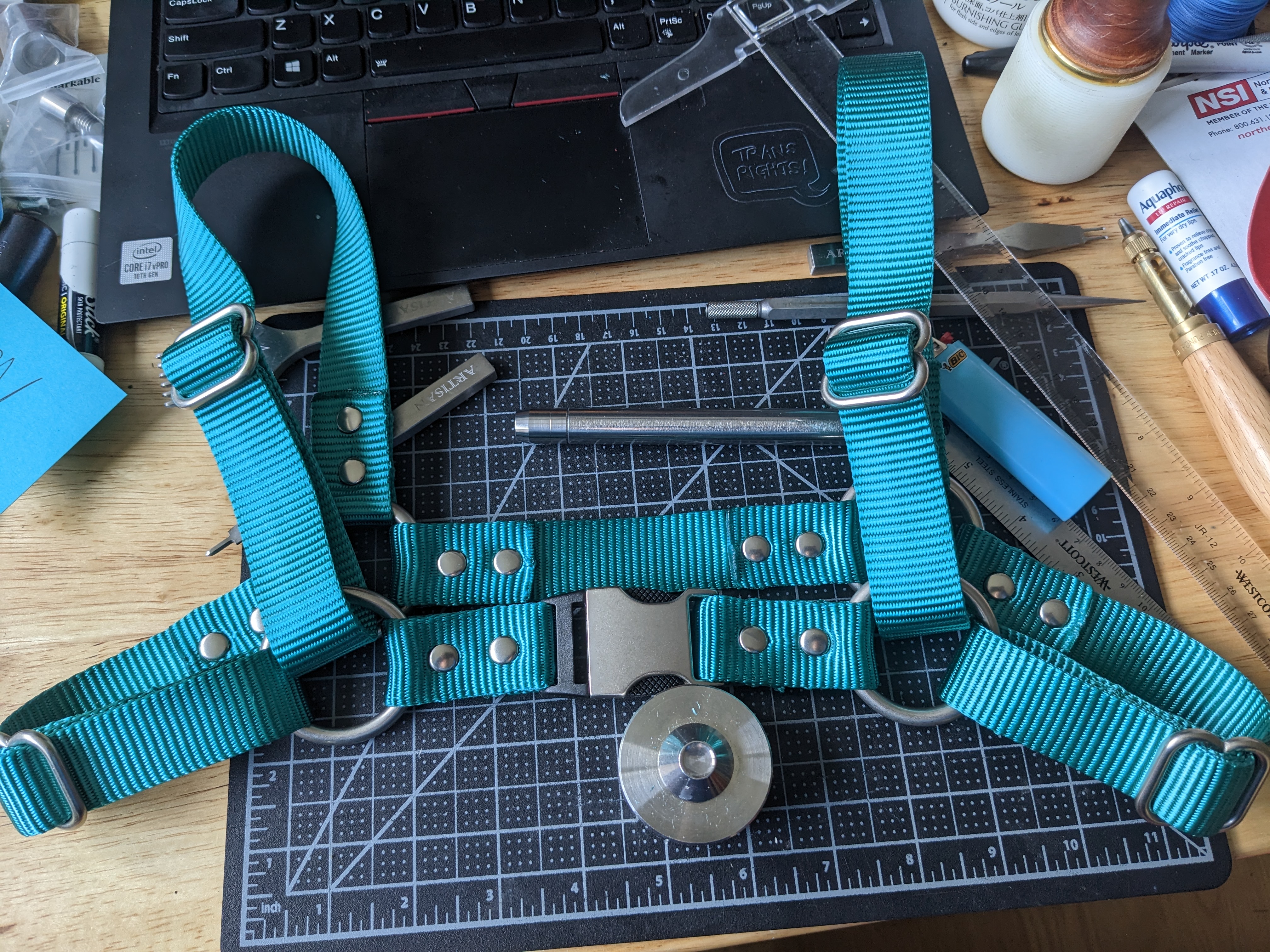 A nylon webbing harness in bright teal laid out on a desk.