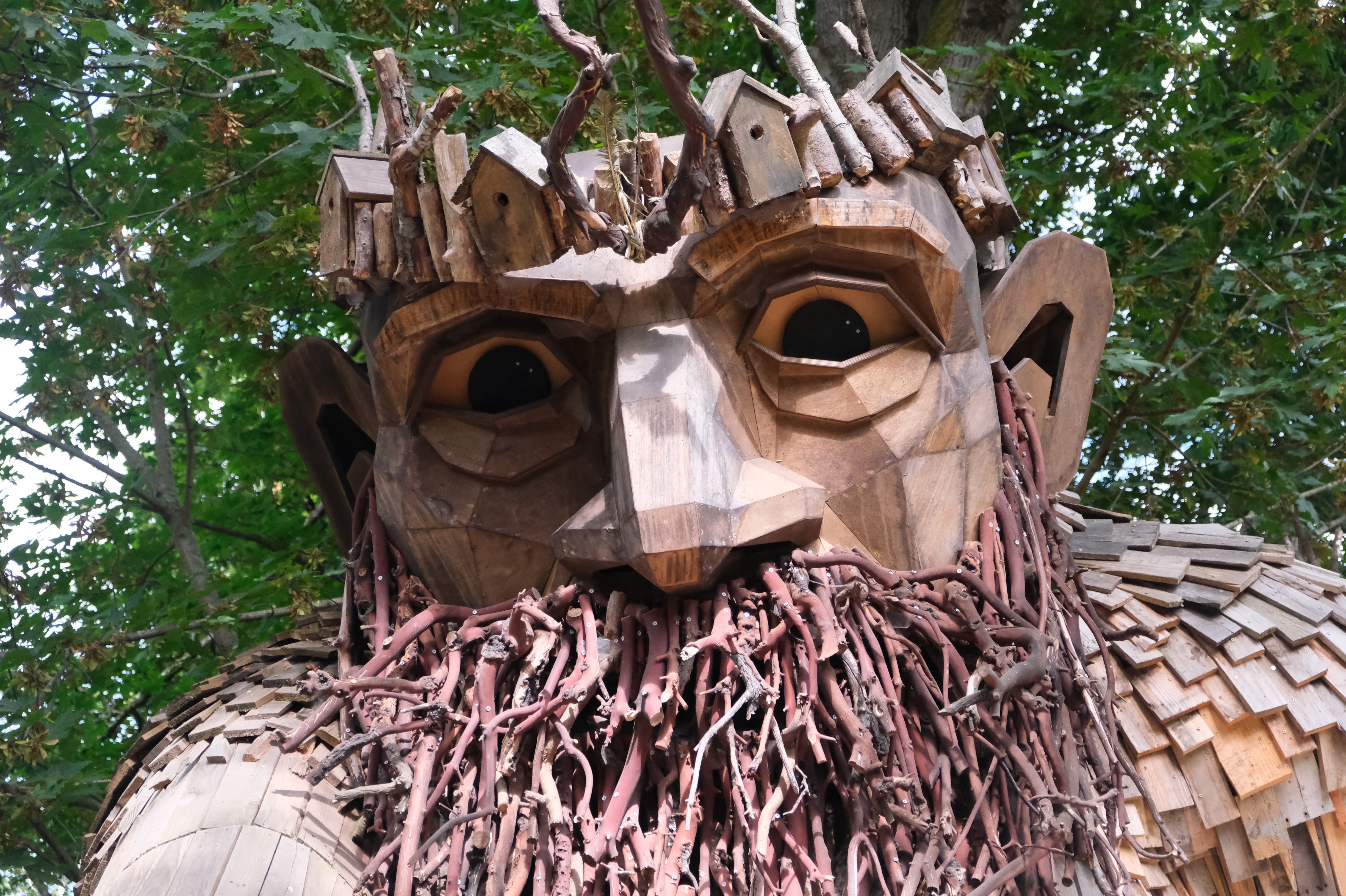 Picture unrelated to post. The face of a giant wooden troll sculpture. He has a bushy twig beard; wild, unnerving eyes that look right through you, and a crown of birdhouses.
