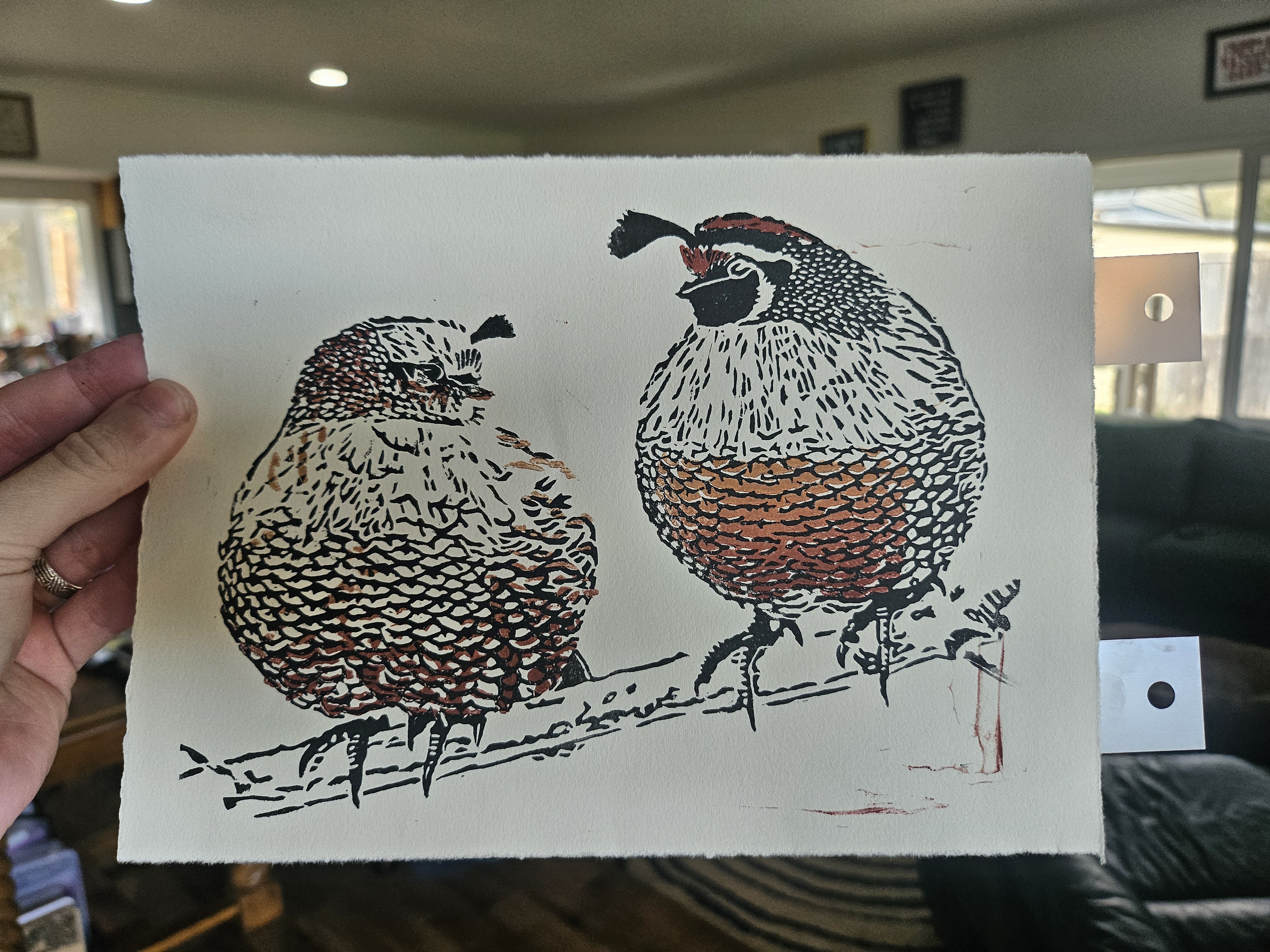 A print in two layers of color showing two rotund quails on a branch. Most of the details are in black ink, then there is a layer with a brown gradient filling in some color on the head and breast.