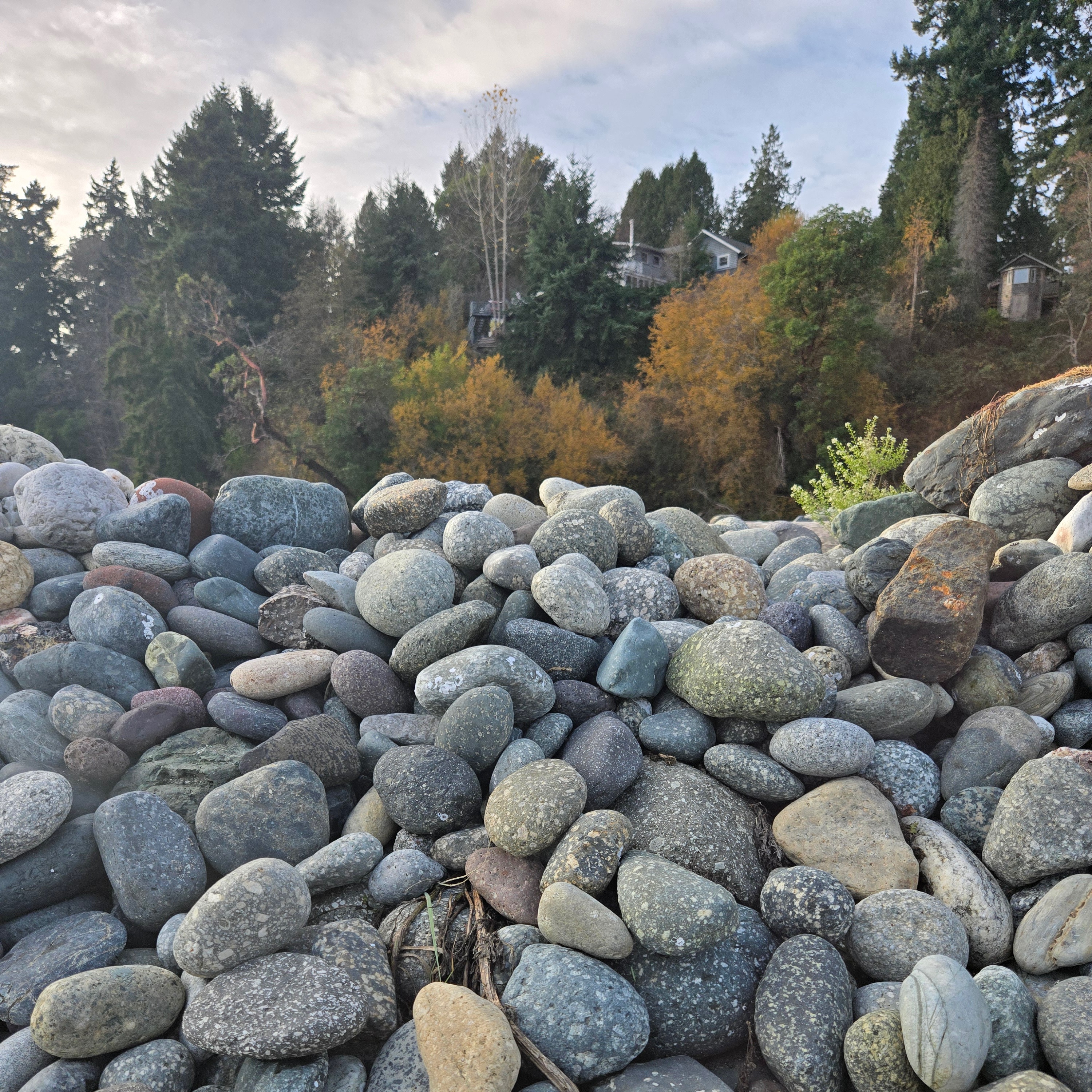 Image unrelated to post. A surprisingly neat pile of rounded beach rocks, mainly speckly grey-white-bluish ones, with trees in the background.