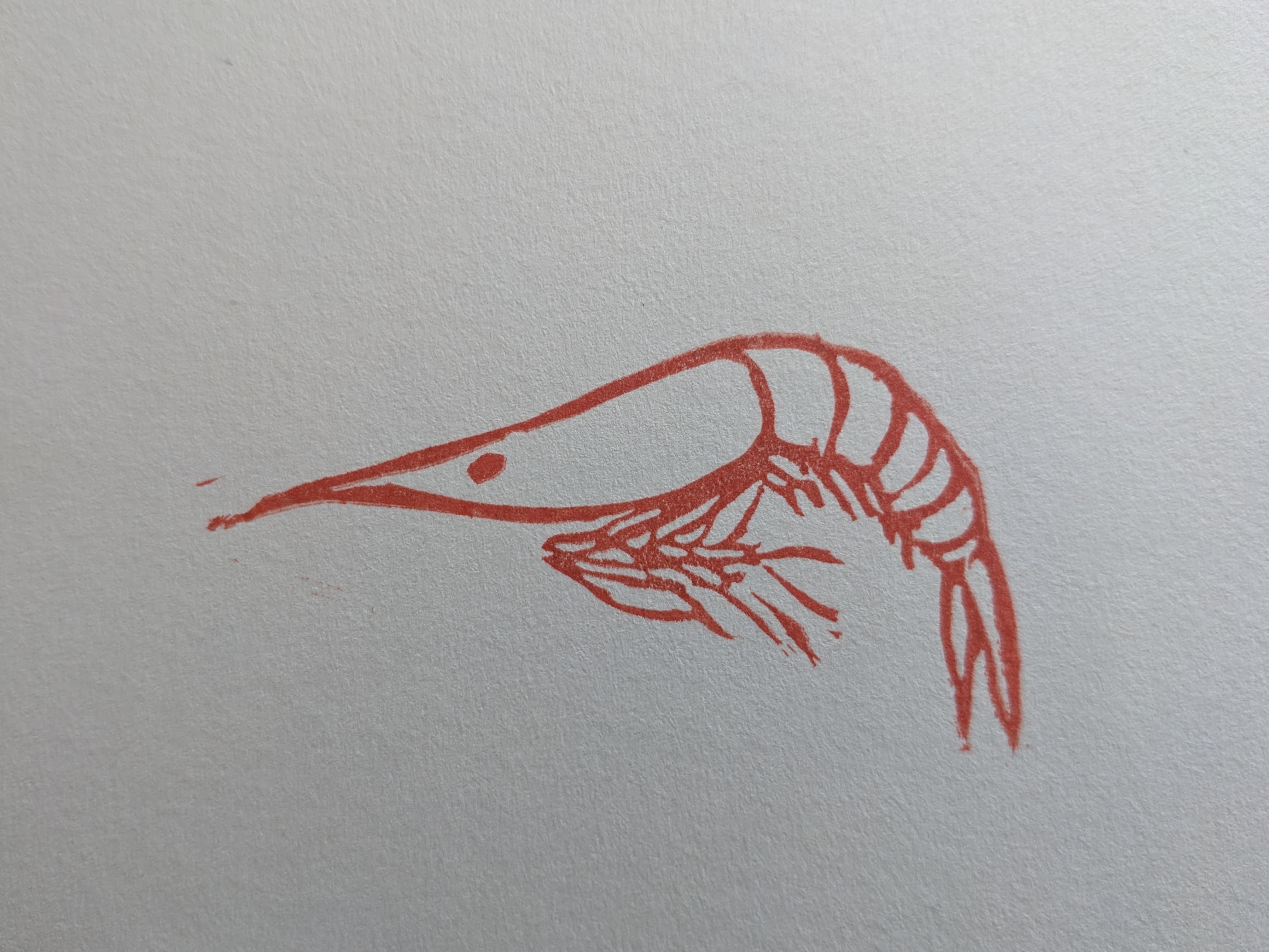 A print of a small shrimp with slender little leggies in orange ink.