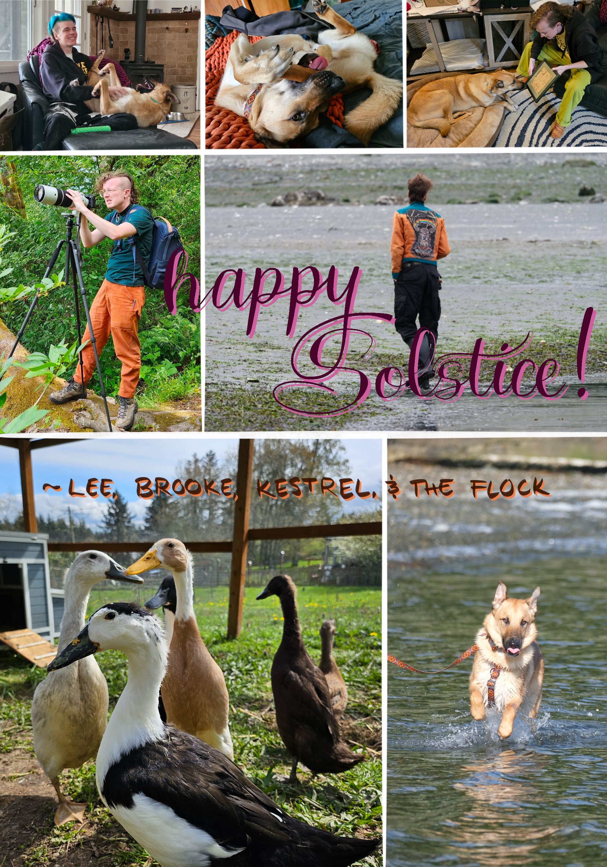 A digital card with front and back stitched together into one image. Front - a collage of photos - brooke with blue hair and kestrel wiggling in her lap; kestrel on his back with one back paw clutched in his mouth; lee sitting holding some custom art of kestrel, showing kestrel the pictures; lee looking intently through a long camera lens; brooke, back to the camera, swaggering across tidal flats in her hand-stitched jacket. over the photos, hand-lettering reads 'happy solstice!' in two shades of pink. Back - two photos - the duckies clustered around the camera; and kestrel leaping gracefully through shallow water with his tongue out in a blep. Overlaid text reads '~ Lee, Brooke, Kestrel, & the Flock'