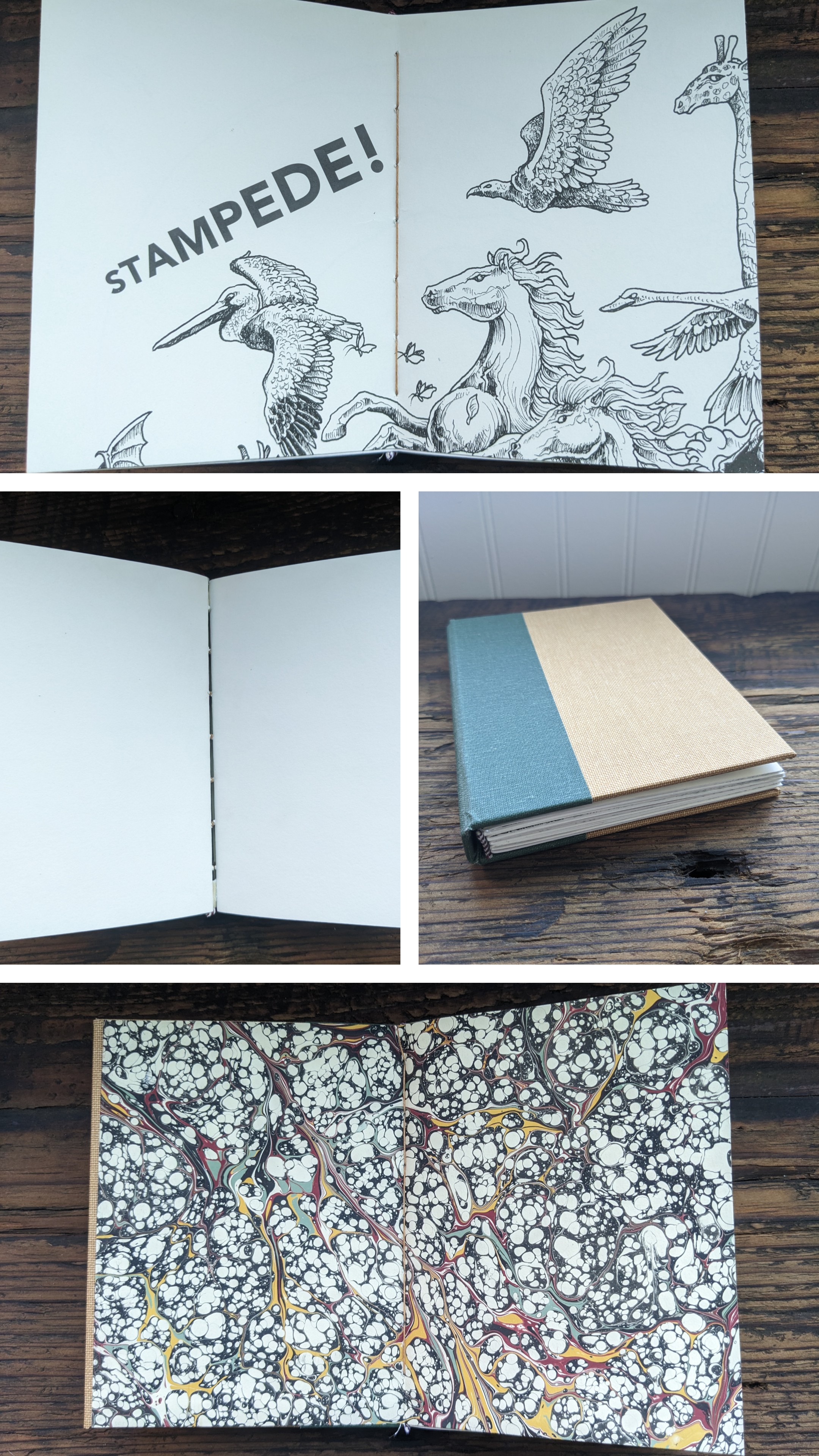 A 4-part collage of a hardcover book, showing a coloring page with 'stampede!' written across it.