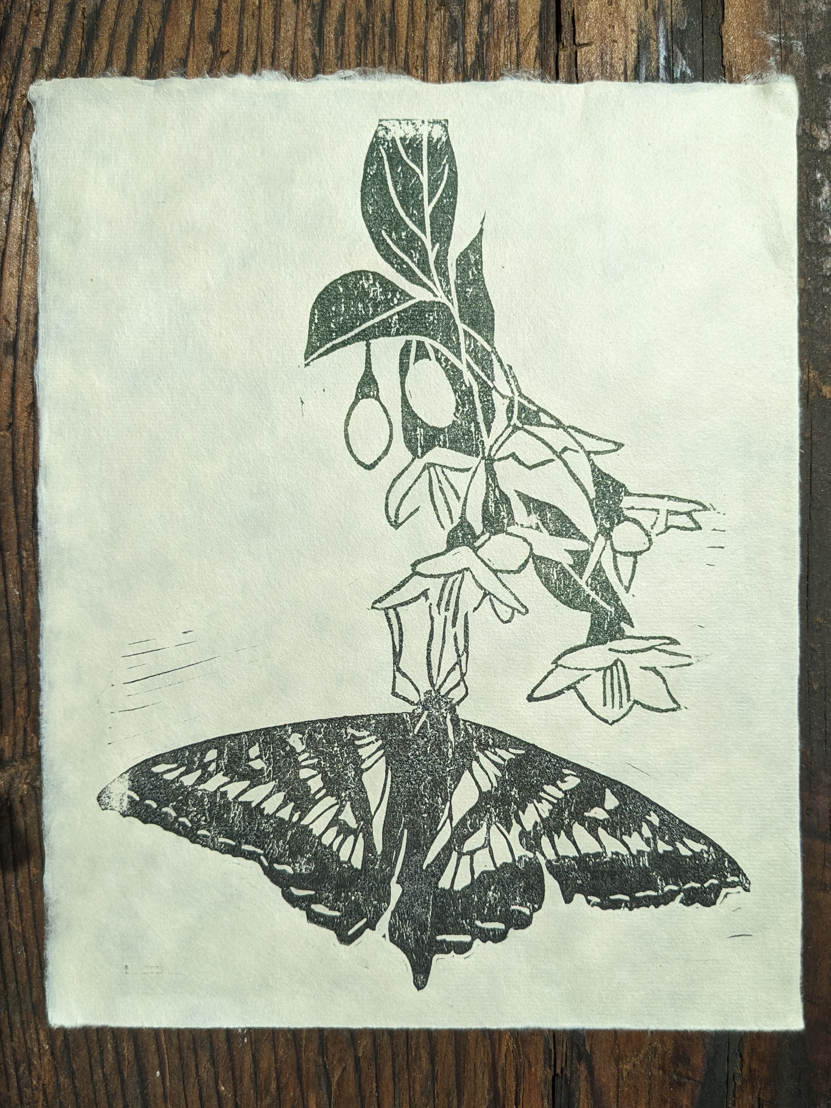 A block print of a tiger swallowtail butterfly dangling from Japanese snowdrops, a white drooping flower.