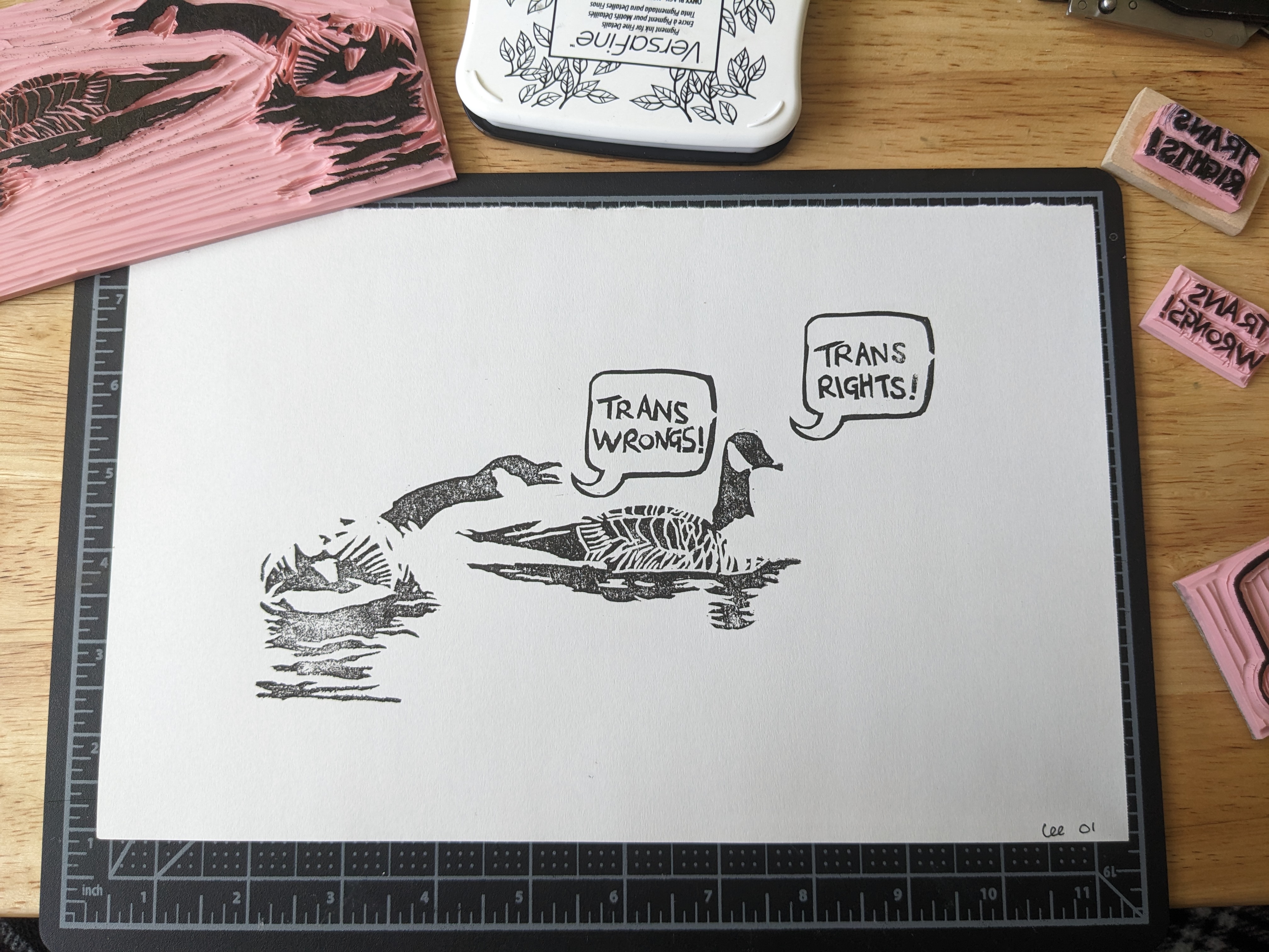 Two Canada geese and their reflections in the water. One is calmly swimming away, while the over leans over towards them and HONKS! Both have speech bubbles; the calm goose says 'trans rights!' while the honking goose says 'trans wrongs!'