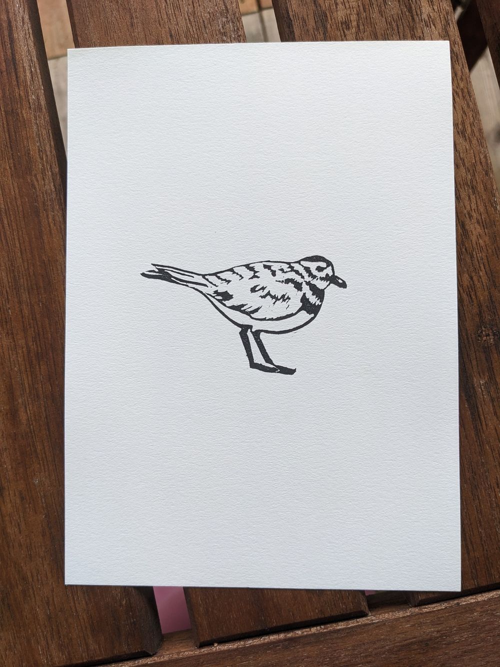 A print of a killdeer in black ink.