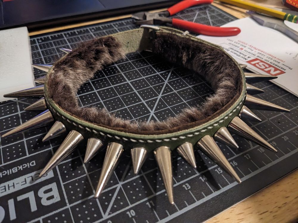 A green leather collar lined with brown/grey shearling and fitted with two sizes of silver-toned spikes.