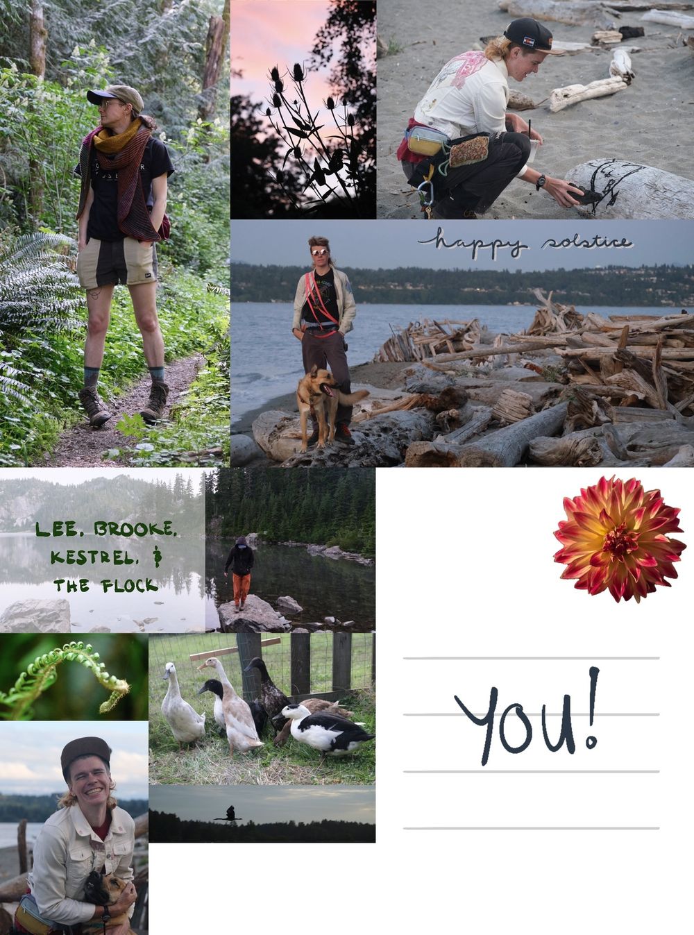 front and back of our solstice card from this year, designed in postcard format. long alt incoming... front - 4 picture collage. 1 - i'm standing in the woods, looking to one side, wearing an elaborate knit scarf. 2 - silhouetted thistle-like flowers in front of a pink-purple sky. 3 - my wife brooke crouches down to draw a heart in charcoal on a beach log, with 'L + B' written inside. 4 - brooke stands on a driftwood-covered beach looking hella cool in mirrored shades. our dog kes stands in front of her and looks off to one side eagerly. overlaid is the words 'happy solstice' in cursive. back - split down the center like the back of a postcard. on the left side, a 5 picture collage. 1 - i stand on a rock at the edge of a calm alpine lake. overlaid is the words 'lee, brooke, kestrel, & the flock' in print lettering. 2 - an early spring fern curl. 3 - our six ducks, all facing to the left, not in a row but still very organized. 4 - brooke grins at the camera while hugging kestrel's head. kestrel looks maybe a bit distraught. 5 - silhouette of a heron in flight across an early morning blue sky. on the address side, i've added a dahlia to represent the stamp, and written 'you!' in the field that would normally hold the mailing address.